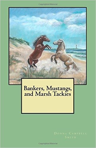 Bankers, Mustangs, and Marsh Tackies