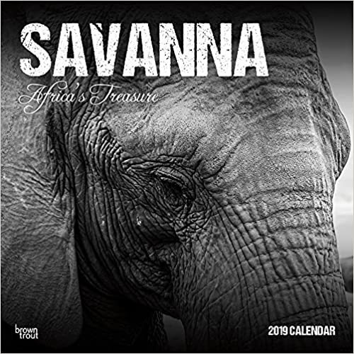 Savanna; Africa's Treasure 2019 Square Wall Calendar