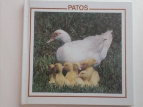 Patos / Ducks