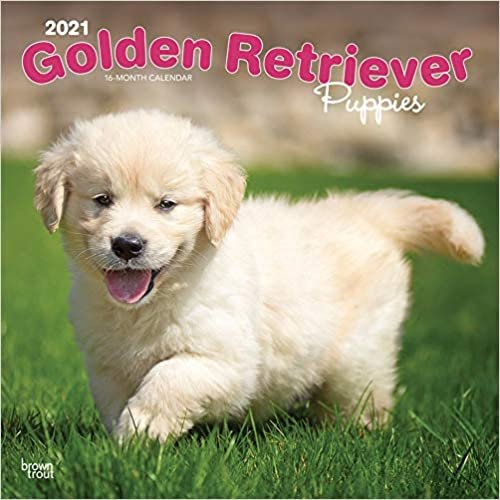 Golden Retriever Puppies - Golden Retriever-Welpen 2021 - 18-Monatskalender mit freier DogDays-App: Original BrownTrout-Kalender [Mehrsprachig] [Kalender]