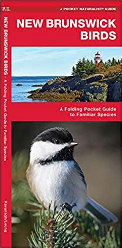 New Brunswick Birds: A Folding Pocket Guide to Familiar Species (Pocket Naturalist Guide)