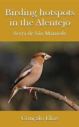 Birding hotspots in the Alentejo: Serra de São Mamede