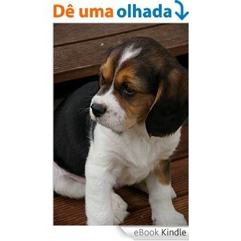 Beagle: Allt sem þú þarft að vita (Icelandic Edition) [eBook Kindle]