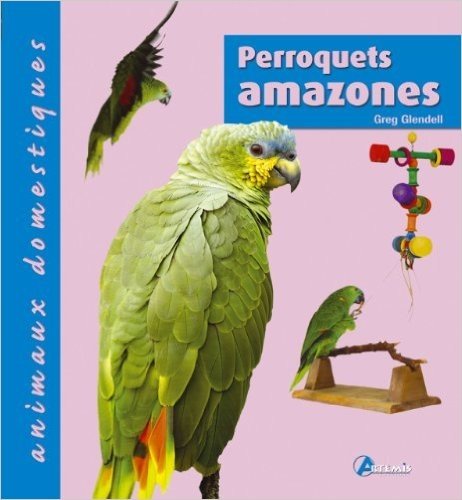 PERROQUETS AMAZONES