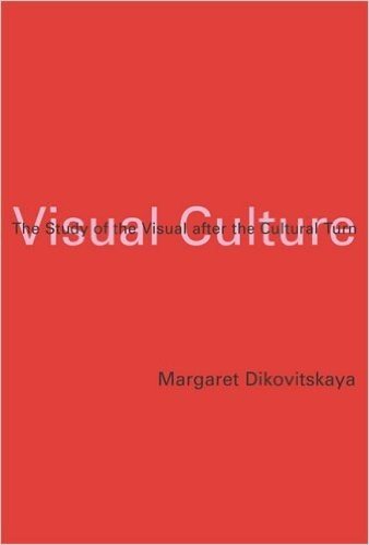 Visual Culture: The Study of the Visual After the Cultural Turn
