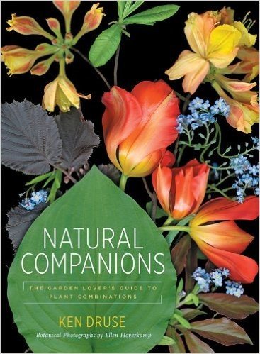 Natural Companions: The Garden Lover's Guide to Plant Combinations baixar