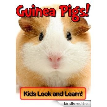 Guinea Pigs! Learn About Guinea Pigs and Enjoy Colorful Pictures - Look and Learn! (50+ Photos of Guinea Pigs) (English Edition) [Kindle-editie]
