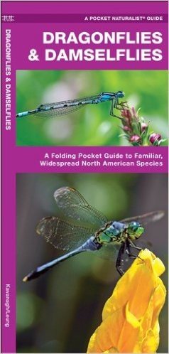 Dragonflies & Damselflies: An Introduction to Familiar, Widespread North American Species