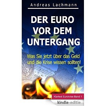 DER EURO VOR DEM UNTERGANG: Was Sie jetzt über das Geld und die Krise wissen sollten! (Klartext Eurokrise 1) (German Edition) [Kindle-editie] beoordelingen