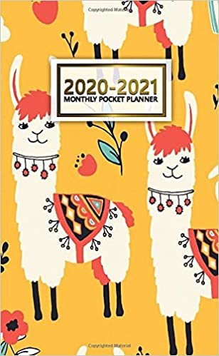 indir 2020-2021 Monthly Pocket Planner: Pretty Two-Year (24 Months) Monthly Pocket Planner &amp; Agenda | 2 Year Organizer with Phone Book, Password Log &amp; Notebook | Cute Llama, Alpaca &amp; Cactus Fiesta