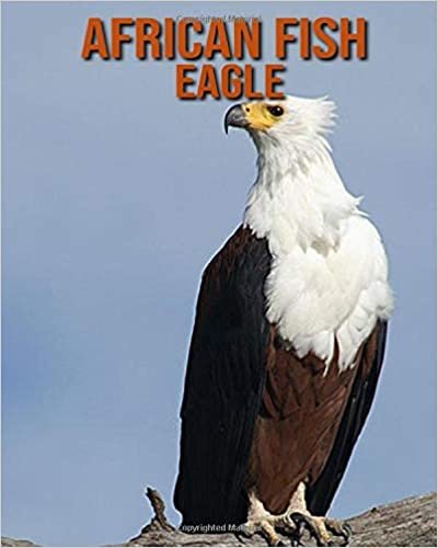 African fish eagle: Amazing Pictures & Fun Facts on Animals in Nature