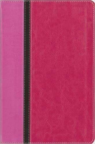 Message Parallel Study Bible-PR-NIV/MS-Numbered Personal Size