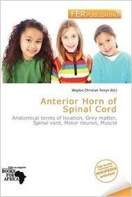 Anterior Horn of Spinal Cord