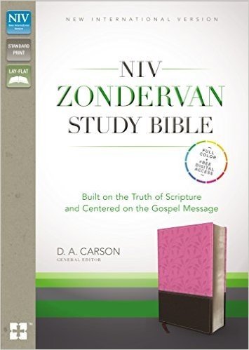NIV, Zondervan Study Bible, Imitation Leather, Pink/Brown, Indexed: Built on the Truth of Scripture and Centered on the Gospel Message baixar