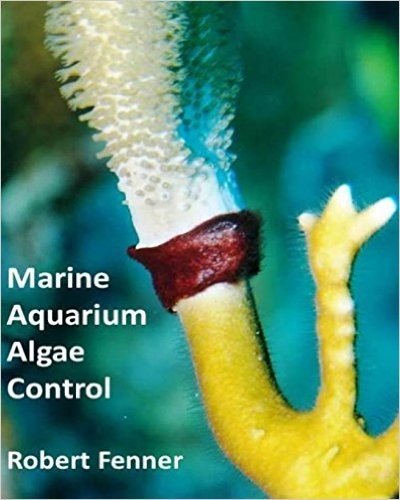 Marine Aquarium Algae Control: The Ins and Outputs of Algal Introduction, Identification and Management in Captive Seawater Systems