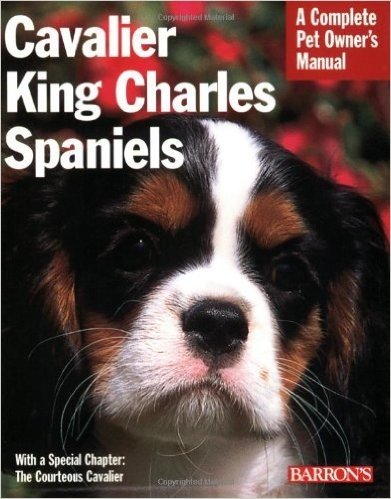 Cavalier King Charles Spaniels: Everything about Purchase, Care, Nutrition, Behavior, and Training
