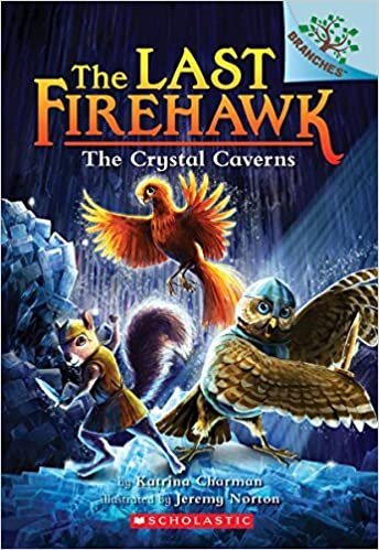 indir The Crystal Caverns: A Branches Book (The Last Firehawk #2)