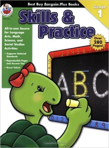 Best Buy Bargain Plus Books: Skills & Practice: Grade 1