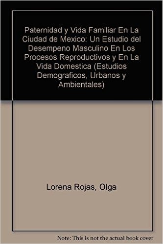 Paternidad y Vida Familiar En La Ciudad de Mexico: Un Estudio del Desempeno Masculino En Los Procesos Reproductivos y En La Vida Domestica