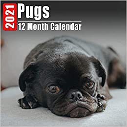 indir Calendar 2021 Pugs: Cute Pug Photos Monthly Mini Calendar With Inspirational Quotes each Month