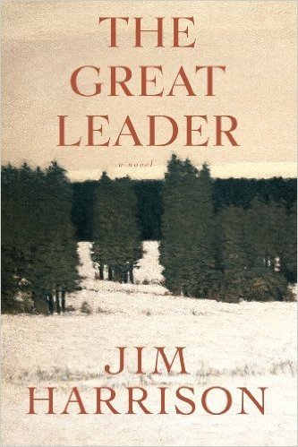 The Great Leader (Faux Mystery)