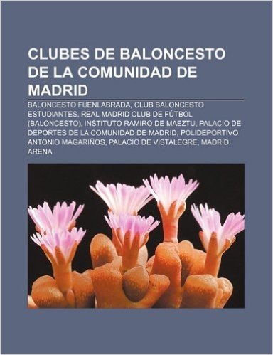 Clubes de Baloncesto de La Comunidad de Madrid: Baloncesto Fuenlabrada, Club Baloncesto Estudiantes, Real Madrid Club de Futbol (Baloncesto)