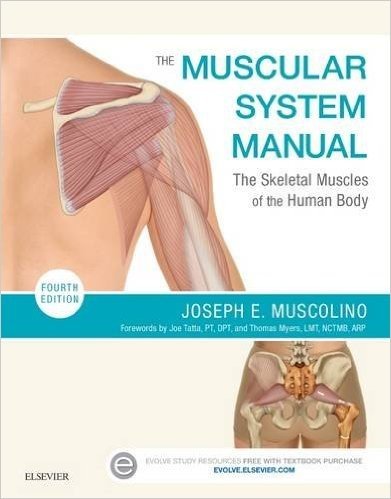 The Muscular System Manual: The Skeletal Muscles of the Human Body baixar