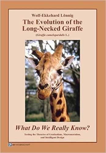 The Evolution of the Long-Necked Giraffe (Giraffa Camelopardalis L.) What Do We Really Know? Testing the Theories of Gradualism, Macromutation, and In
