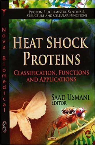 HEAT SHOCK PROTEINS CLASS.FUN. (Protein Biochemistry, Synthesis, Structure and Cellular Functions)