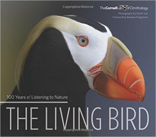 Living Bird: 100 Years of Listening to Nature baixar