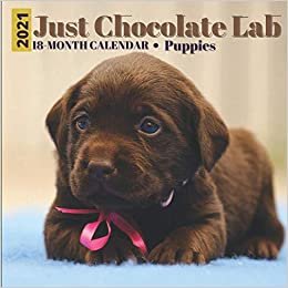 indir Just Chocolate Lab 18 Month Calender 2021Puppies: 2021 Wall Calendar: Dog Breed Calendar , Animals Dog Breeds Retriever Puppy