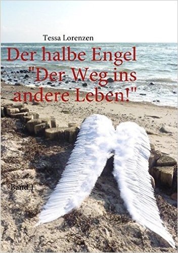 Der Halbe Engel Band 1 Der Weg Ins Andere Leben! baixar