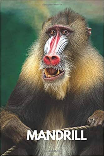 Mandrill: Animal Notebook, Journal, Diary (110 Pages, Blank, 6 x 9), gift for graduation, for adults, for entrepeneur, for women, for men, cool ... thinks to write in notebook, school notebook