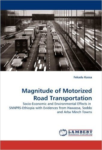 Magnitude of Motorized Road Transportation