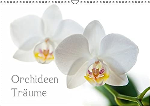 indir Orchideen Träume (Wandkalender 2017 DIN A3 quer): Fotografien von Orchideen (Monatskalender, 14 Seiten ) (CALVENDO Natur)