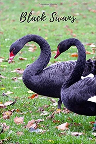 Black Swans: Notebook with Animals for Kids, Notebook for Coloring Drawing and Writing (Realistic Colors, 110 Pages, Unlined, 6 x 9)(Animal Glossy Notebook)