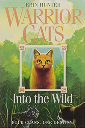 indir Warrior Cats (1) Into the Wild