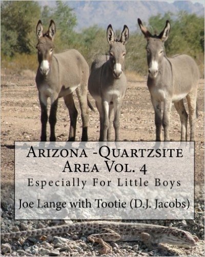 Arizona - Quartzsite Area Vol. 4: Especially for Little Boys