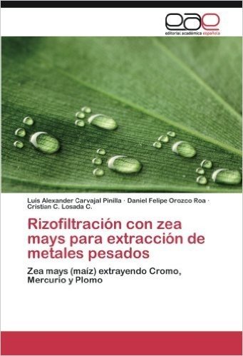 Rizofiltracion Con Zea Mays Para Extraccion de Metales Pesados