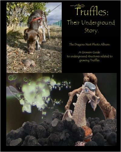 Truffles: Their Underground Story: The Dragons Nest Photo Album. a Growers Guide to Underground Structures Related to Growing Tr
