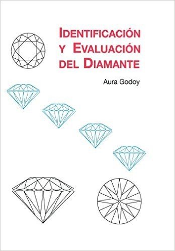 Identificacion y Evaluacion del Diamante