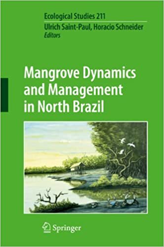 indir Mangrove Dynamics and Management in North Brazil (Ecological Studies (211), Band 211)