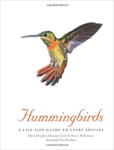 Hummingbirds a life-size guide to every species : Edition en anglais