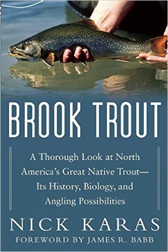 Brook Trout: A Thorough Look at North America's Great Native Trout- Its History, Biology, and Angling Possibilities baixar