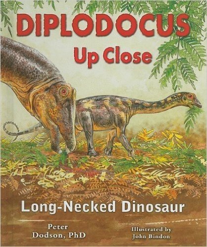 Diplodocus Up Close: Long-Necked Dinosaur