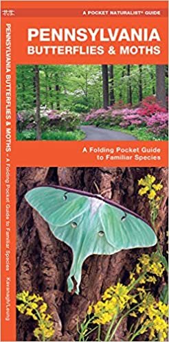 Pennsylvania Butterflies & Moths: A Folding Pocket Guide to Familiar Species (A Pocket Naturalist Guide)