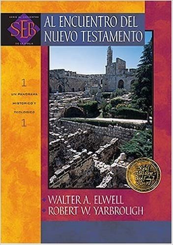 Al Encuentro del Nuevo Testamento: Un Panorama Historico y Teologico = Encountering the New Testament