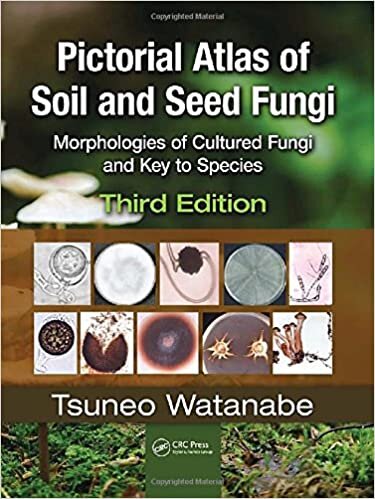 indir Pictorial Atlas of Soil and Seed Fungi: Morphologies of Cultured Fungi and Key to Species,Third Edition (Mycology, Band 4)