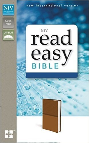 NIV Readeasy Bible baixar