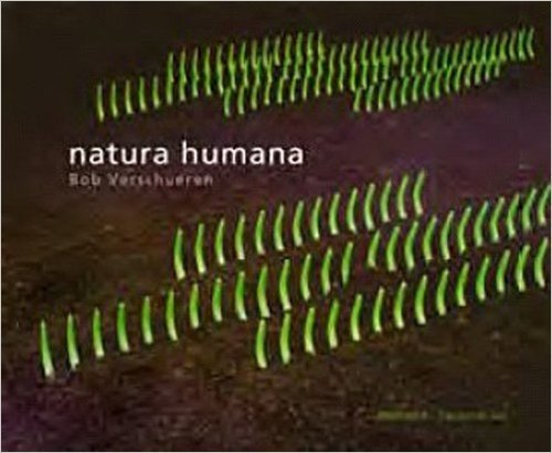 Natura Humana : Installations réalisées en extérieur